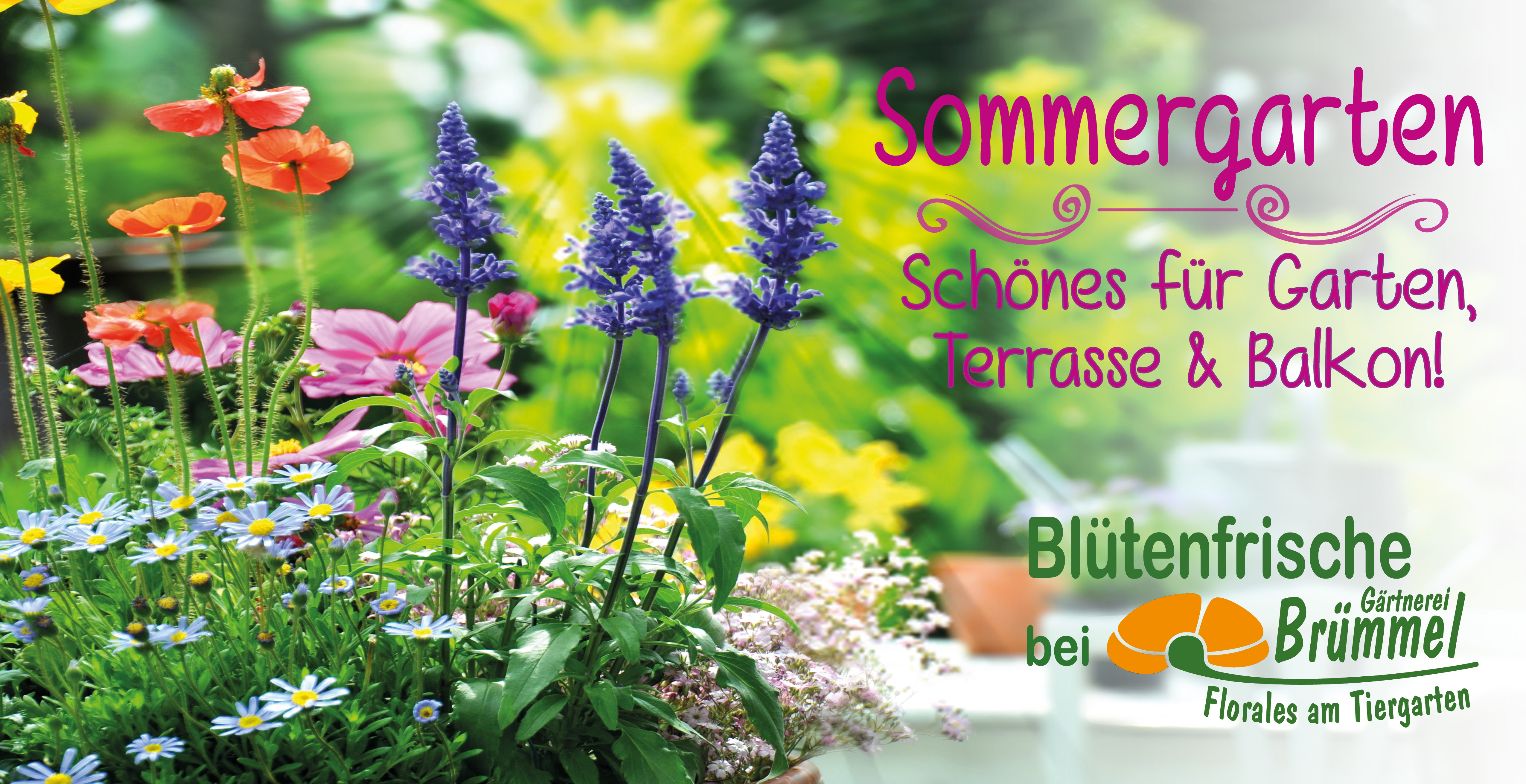 19-ho-Brümmel-Sommer Seite 2